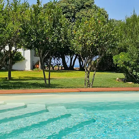 Sea And Nature * Porto Cervo