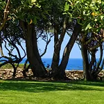 Sea And Nature Feriehus Porto Cervo